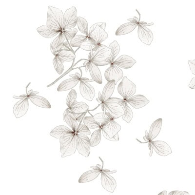 Bettwäsche "Rosy"